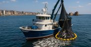 modern fishing