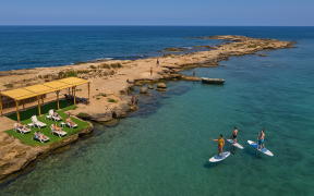 zire saida