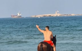 saida horse