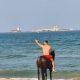 saida horse