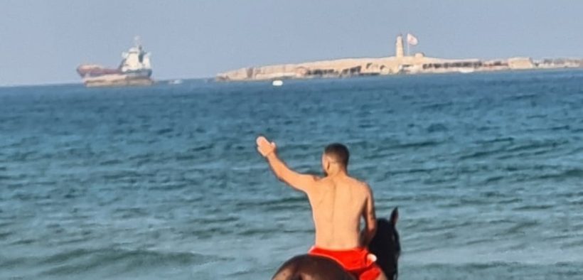 saida horse