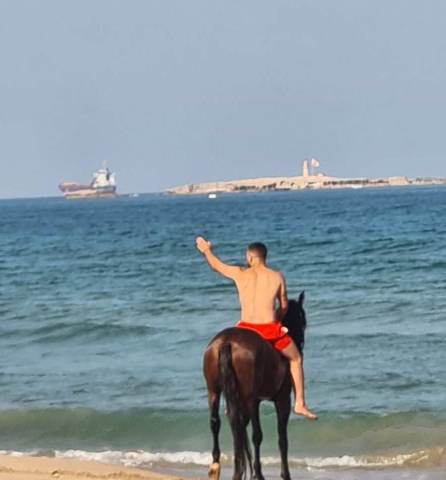 saida horse