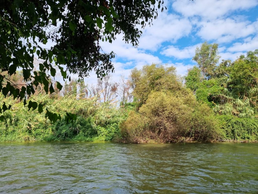 saida river