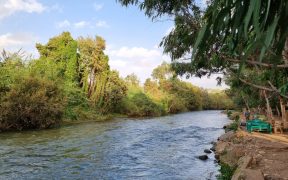saida river 2