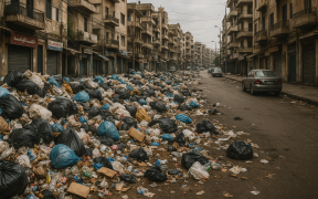 wastes in the streets