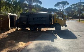jezzine trach