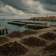 sidon_port_image