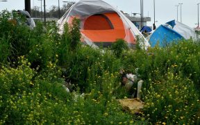 Spring and Displacement 6