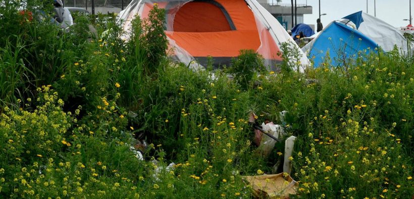 Spring and Displacement 6