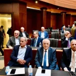 Parliamentary Committees and the Amnesty 1