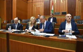 Parliamentary Committees and the Amnesty 22