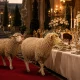 Sheep Procession to a Grand Banquet